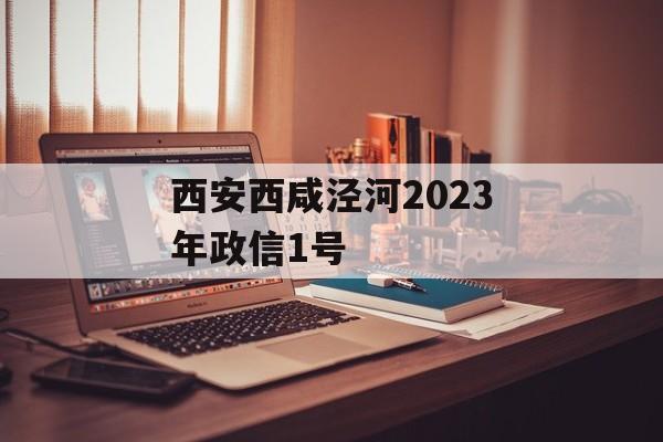 西安西咸泾河2023年政信1号