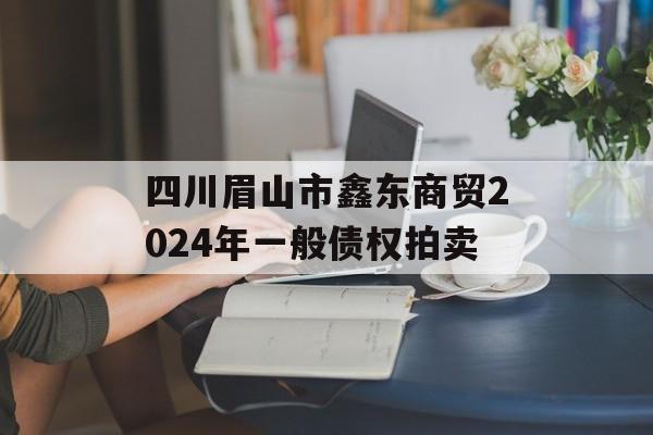 四川眉山市鑫东商贸2024年一般债权拍卖