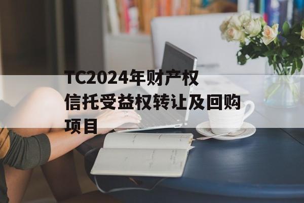 TC2024年财产权信托受益权转让及回购项目