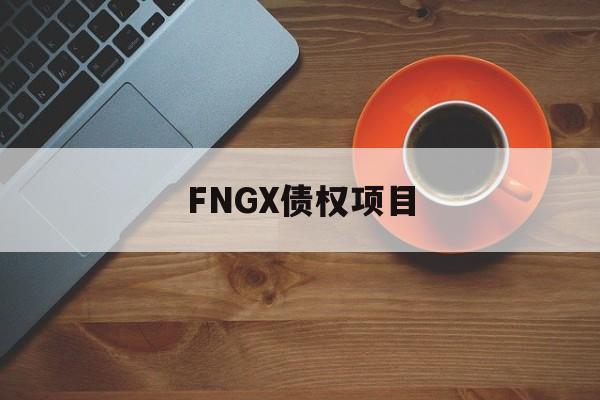 FNGX债权项目