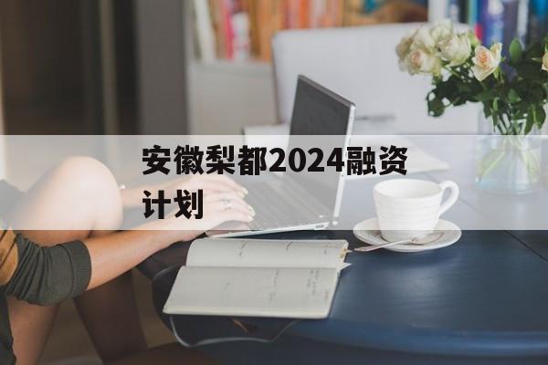 安徽梨都2024融资计划