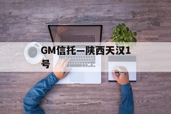 GM信托—陕西天汉1号