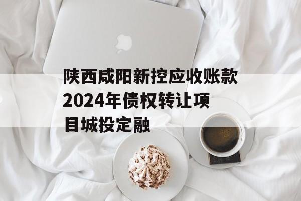 陕西咸阳新控应收账款2024年债权转让项目城投定融