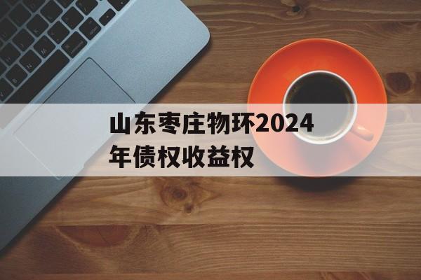 山东枣庄物环2024年债权收益权